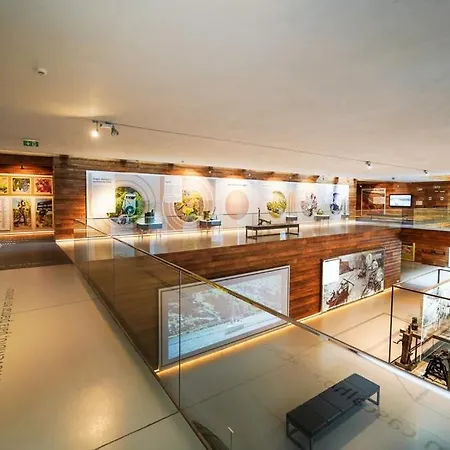 Apartamento House Da Didy São João da Pesqueira