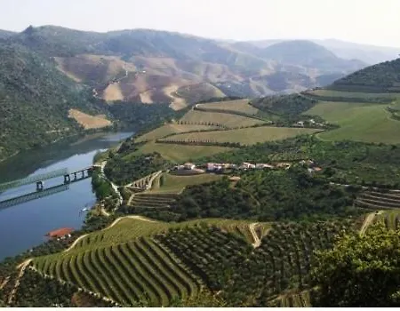 Apartamento House Da Didy