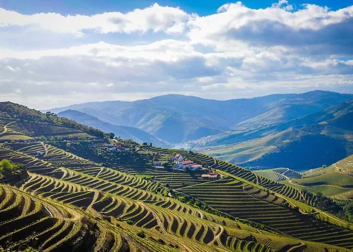 公寓 House Da Didy São João da Pesqueira