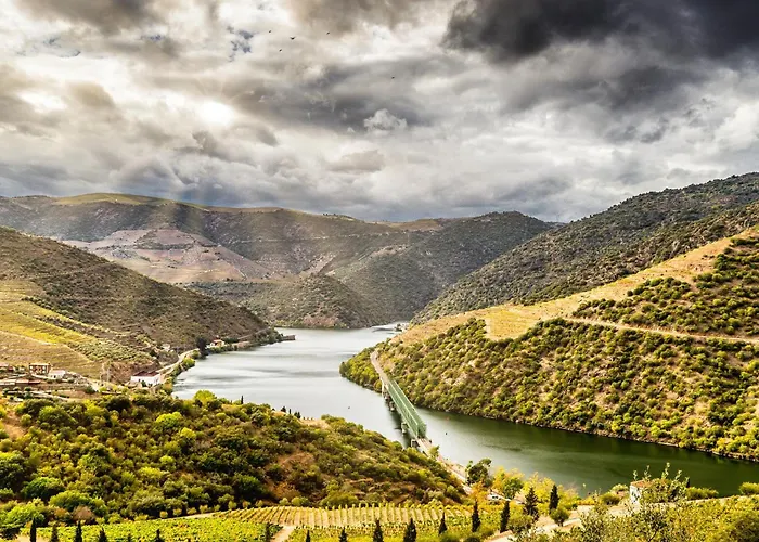 House Da Didy 公寓 São João da Pesqueira