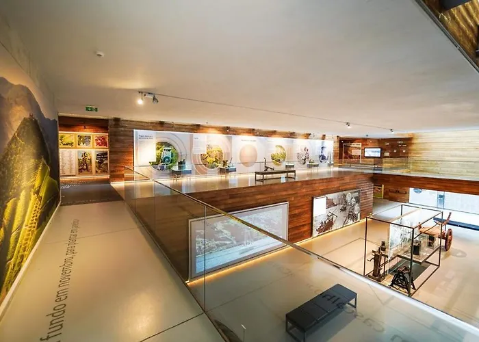 公寓 House Da Didy São João da Pesqueira