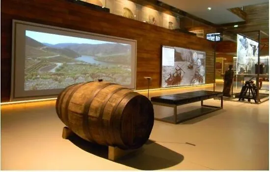 House Da Didy 公寓 São João da Pesqueira