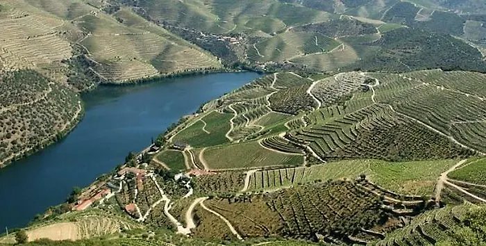 House Da Didy 아파트 *